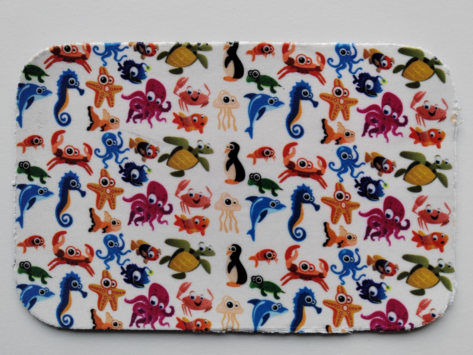 Fruit Sublimation Transfer